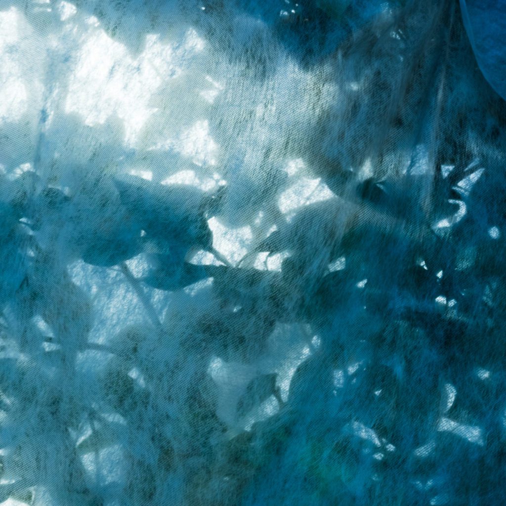 “core” on soundcloud