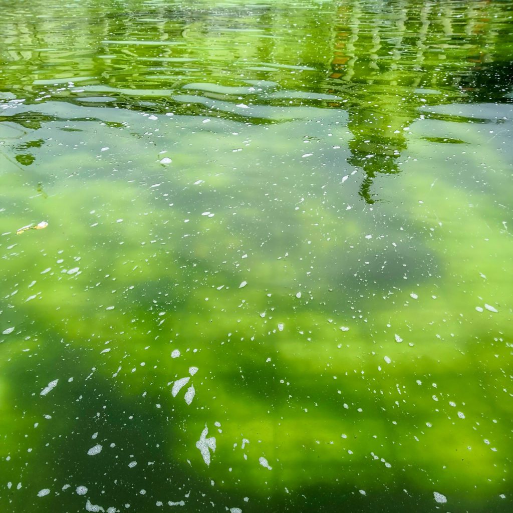 “fathom” on soundcloud