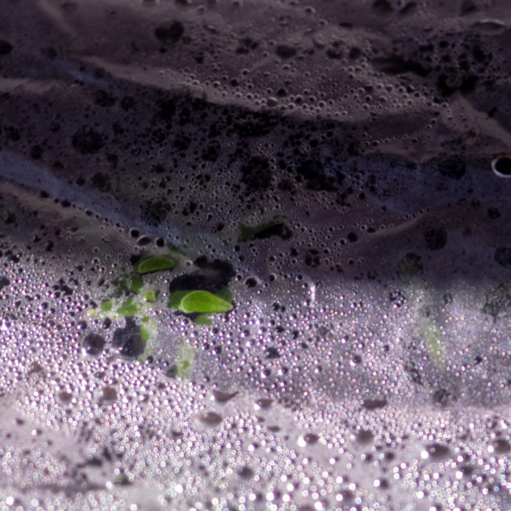 “tipsy” on soundcloud